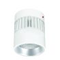 6" Lumen Cannon LED Surface Mount Integral Emergency 1100-3700lm (25W-44W)