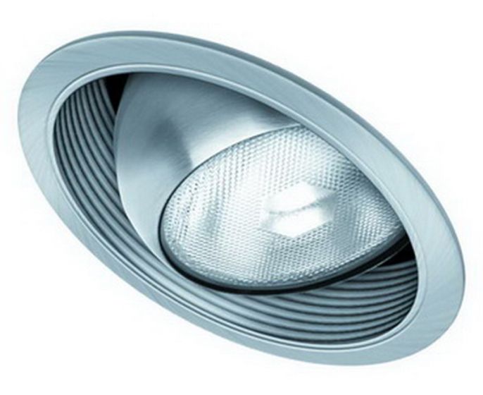 6" PAR30 Sloped Eyeball w/ Baffle