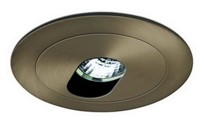 4" MR16 Adjustable Slot