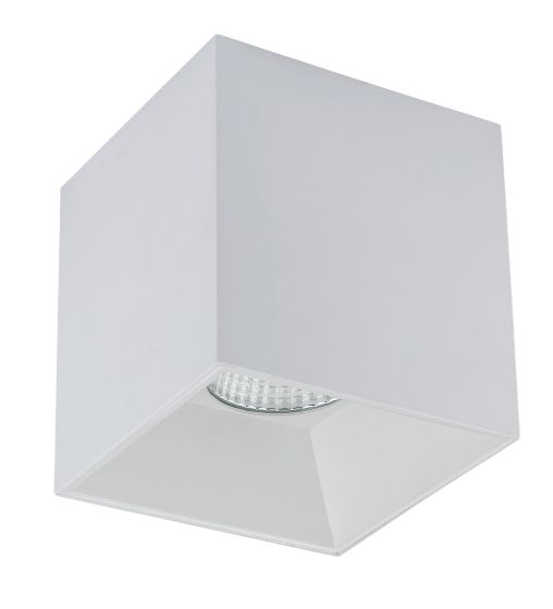 6" Pendant/Ceiling Mount LumenCube