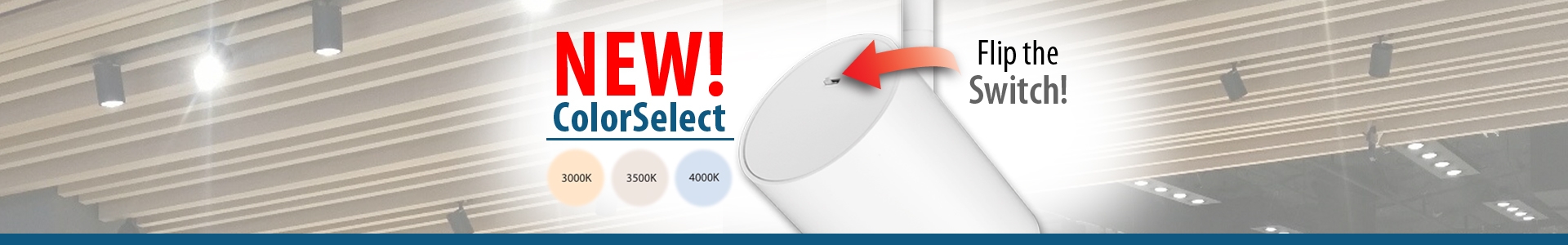 Cylo Swivel Cylinder LED Track Head 800lm (10W)