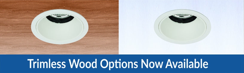 2.5" Shallow Square Flangeless Fixed Downlight